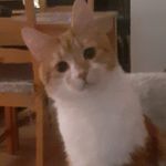 Joyce Carmody - @carmody.joyce - Instagram