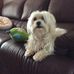 Joyce Carney - Facebook