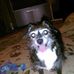 Joyce Carney - Facebook