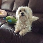 Joyce Carney - @carney5052 - Instagram