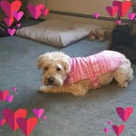 Joyce Caron - @joyce.caron.16 - Instagram