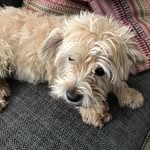 joyce cartwright - @aljoy1943 - Instagram