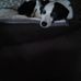 Joyce Castor - Facebook