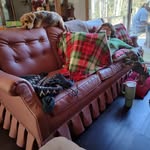 Joyce Cayton Philbeck Smith - @joycephilbeck - Instagram
