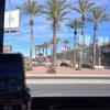 joyce cecile - @joyce.cecile - TikTok