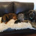 Lynn Joyce Chacon - @lynnvillage - Instagram
