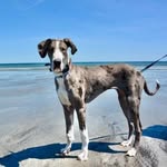 Joyce Chalmers - @jac7628 - Instagram