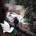 Joyce Chance - Facebook