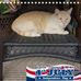 Joyce Chaput - Facebook