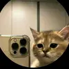 joycechavez8 - @joyce.chavez001 - TikTok