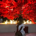 Joyce Christine Bell - @joyce_christien_bell - Instagram