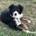 Joyce Clapp - Facebook