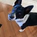 Joyce Clapp - Facebook