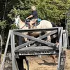 Joyce Mccloud - @joyce.mccloud - TikTok