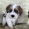 joycemccloud - @joyce.mccloud7 - TikTok