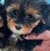 Joyce Clough - Facebook