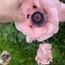 Joyce Clouse - Facebook
