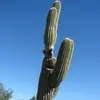 Joyce Coburn - @joyce.coburn - TikTok