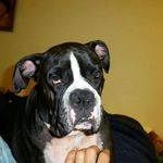 Joyce Coalt Comer - @joyce_coalt_comer - Instagram