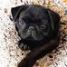 Joyce Comer - Facebook