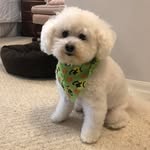 Joyce Compton - @joycecompton12 - Instagram
