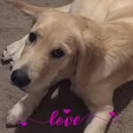 Joyce Compton - @joycemariecompton - Instagram