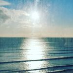 Joyce Connell - @_jdiconnell - Instagram