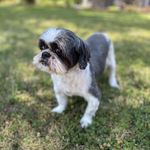Joyce Copas Karcher - @jaycee1150 - Instagram