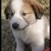 Penny Joyce Adams-Copas❌ - @penny.joyce.adams - TikTok