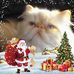Joyce Cope - Facebook