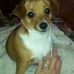 Joyce Sims Cope - Facebook