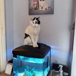 Joyce Coppock - @coppockjoyce - Instagram