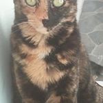 Joyce Corbin - @joyce.corbin.71 - Instagram