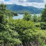 Joyce Cormier - @joycecormier481 - Instagram
