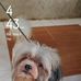 Joyce Cortes - Facebook