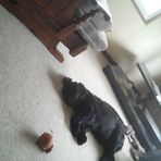 Joyce Cousins - Facebook