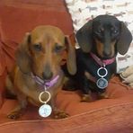 Joyce Cousins - Facebook