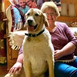 Joyce Warren Covert - @joycecovert - Instagram