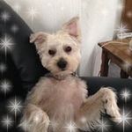 Joyce Cramb - @joycecramb - Instagram