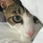 Joyce Crane Butterfield - @joycebutterfield2 - Instagram