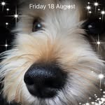 Joyce Creed - @joyce.creed.73 - Instagram