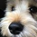 Joyce Creed - Facebook