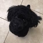 Joyce Creed - @joycey1469 - Instagram