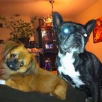 Joyce Criss - Facebook