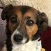 Joyce Croft - Facebook