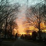 Joyce Crook - @joyce.crook.7 - Instagram