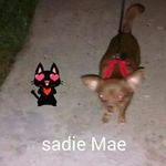 Joyce Cross - @cross.joyce - Instagram