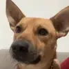 Joyce Cuevas - @joyce.cuevas3 - TikTok