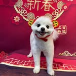 Joyce Cui - @joycecui_ - Instagram