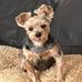 Joyce Cummins - Facebook